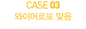 CASE 03           