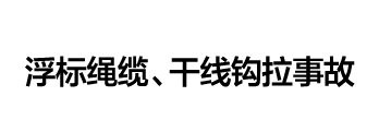 CASE 06             