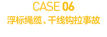 CASE 06             