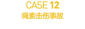 CASE 12        