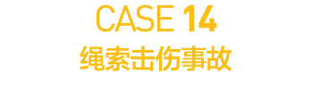 CASE 14        