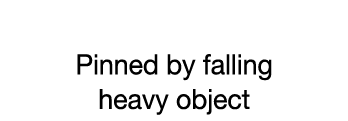 CASE 09  Pinned by falling heavy object