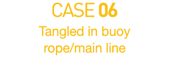 CASE 06  Tangled in buoy rope main line