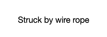 CASE 12  Struck by wire rope
