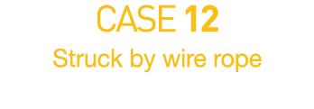 CASE 12  Struck by wire rope