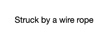 CASE 14  Struck by a wire rope
