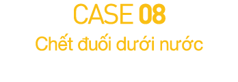 CASE 08  Ch t  u i d  i n  c